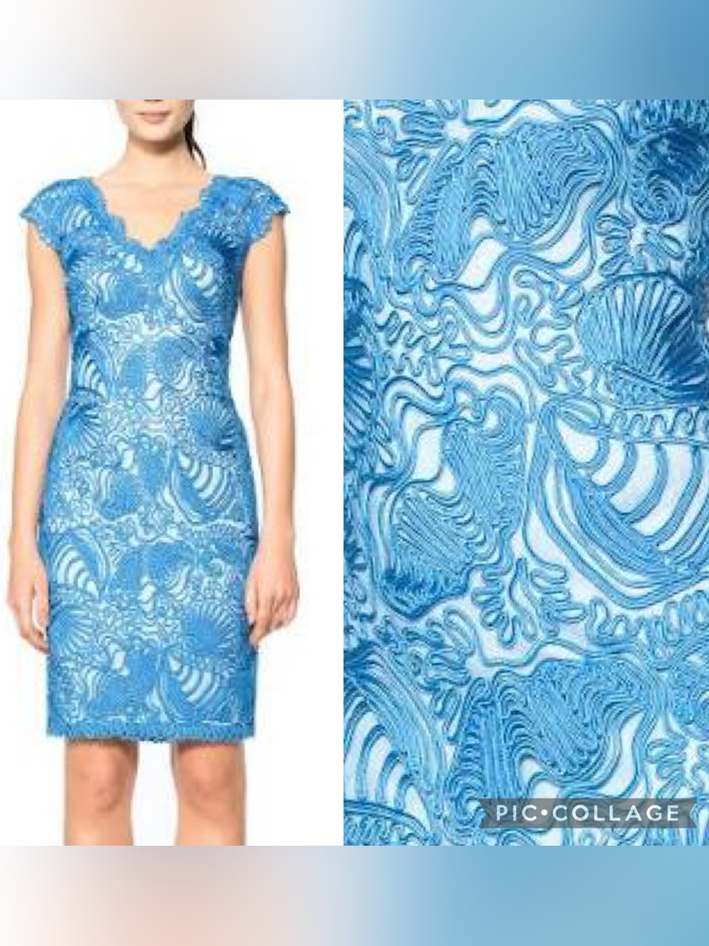 Tadashi Shoji Passementerie Seashell embroidered tulle v neck cocktail dress